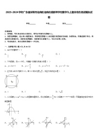 2023-2024学年广东省深圳市龙岗区龙岗街道新梓学校数学九上期末综合测试模拟试题含答案