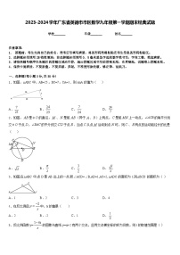 2023-2024学年广东省英德市市区数学九年级第一学期期末经典试题含答案