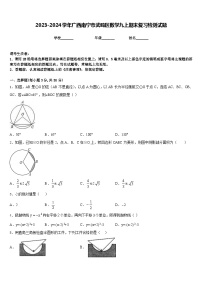 2023-2024学年广西南宁市武鸣区数学九上期末复习检测试题含答案