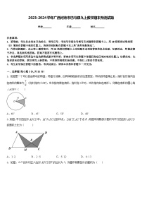 2023-2024学年广西河池市巴马县九上数学期末预测试题含答案