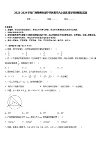 2023-2024学年广西柳州市城中学区数学九上期末质量检测模拟试题含答案