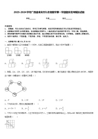 2023-2024学年广西省来宾市九年级数学第一学期期末统考模拟试题含答案