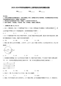 2023-2024学年怀远县联考九上数学期末达标检测模拟试题含答案