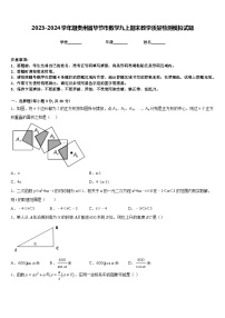 2023-2024学年期贵州省毕节市数学九上期末教学质量检测模拟试题含答案