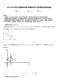 2023-2024学年江苏省南京市浦口外国语学校九上数学期末达标检测试题含答案