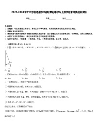 2023-2024学年江苏省扬州市江都区郭村中学九上数学期末经典模拟试题含答案