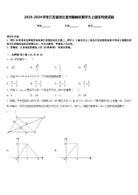 2023-2024学年江苏省连云港市赣榆区数学九上期末检测试题含答案