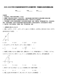 2023-2024学年江苏省邳州市新河中学九年级数学第一学期期末达标检测模拟试题含答案