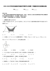 2023-2024学年河北省保定市回民中学数学九年级第一学期期末综合测试模拟试题含答案