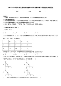 2023-2024学年河北省沧州市黄骅市九年级数学第一学期期末预测试题含答案