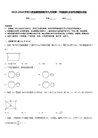 2023-2024学年江西省鄱阳县数学九年级第一学期期末达标检测模拟试题含答案