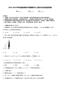 2023-2024学年河南省洛阳市汝阳县数学九上期末学业质量监测试题含答案