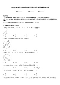 2023-2024学年河南省平顶山汝州市数学九上期末检测试题含答案