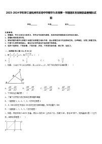 2023-2024学年浙江省杭州市采荷中学数学九年级第一学期期末质量跟踪监视模拟试题含答案