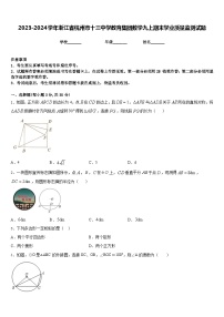 2023-2024学年浙江省杭州市十三中学教育集团数学九上期末学业质量监测试题含答案