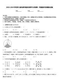 2023-2024学年浙江省杭州市临安区数学九年级第一学期期末检测模拟试题含答案