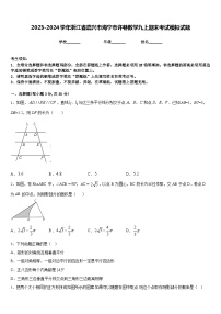 2023-2024学年浙江省嘉兴市海宁市许巷数学九上期末考试模拟试题含答案