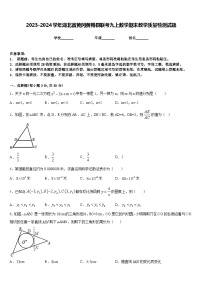 2023-2024学年湖北省黄冈黄梅县联考九上数学期末教学质量检测试题含答案