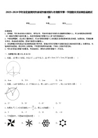 2023-2024学年湖北省黄冈市麻城市顺河镇九年级数学第一学期期末质量跟踪监视试题含答案