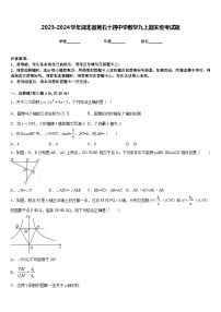 2023-2024学年湖北省黄石十四中学数学九上期末统考试题含答案