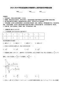 2023-2024学年湖北省黄石市阳新县九上数学期末统考模拟试题含答案