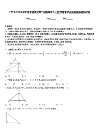 2023-2024学年湖北省武汉第二初级中学九上数学期末学业质量监测模拟试题含答案