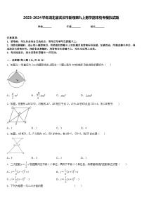 2023-2024学年湖北省武汉市新观察九上数学期末统考模拟试题含答案