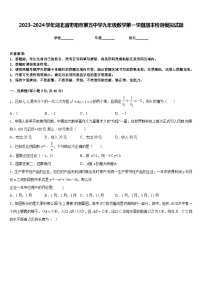 2023-2024学年湖北省枣阳市第五中学九年级数学第一学期期末检测模拟试题含答案