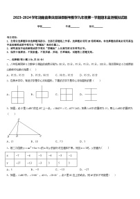 2023-2024学年湖南省娄底双峰县联考数学九年级第一学期期末监测模拟试题含答案