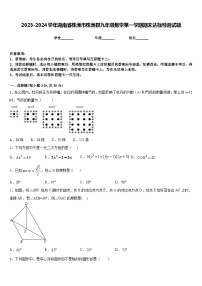 2023-2024学年湖南省株洲市株洲县九年级数学第一学期期末达标检测试题含答案