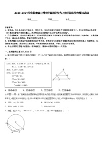 2023-2024学年甘肃省兰州市外国语学校九上数学期末统考模拟试题含答案