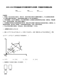 2023-2024学年湖南省长沙市浏阳市数学九年级第一学期期末检测模拟试题含答案