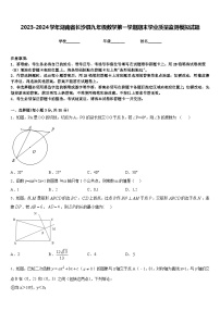 2023-2024学年湖南省长沙县九年级数学第一学期期末学业质量监测模拟试题含答案