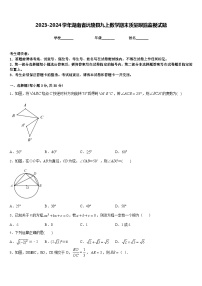 2023-2024学年湖南省沅陵县九上数学期末质量跟踪监视试题含答案