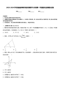 2023-2024学年湖南省郴州市临武县数学九年级第一学期期末监测模拟试题含答案