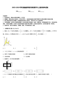 2023-2024学年湖南省邵阳市郊区数学九上期末联考试题含答案