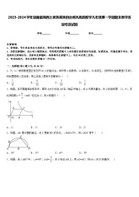 2023-2024学年湖南省湘西土家族苗族自治州凤凰县数学九年级第一学期期末教学质量检测试题含答案