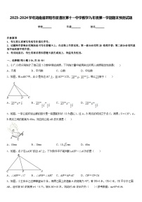 2023-2024学年湖南省邵阳市双清区第十一中学数学九年级第一学期期末预测试题含答案