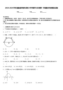 2023-2024学年湖南省邵阳市武冈三中学数学九年级第一学期期末检测模拟试题含答案