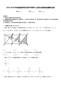 2023-2024学年湖南省武冈市实验中学数学九上期末质量跟踪监视模拟试题含答案