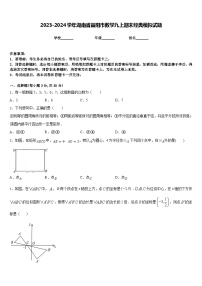 2023-2024学年湖南省益阳市数学九上期末经典模拟试题含答案