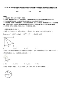 2023-2024学年湖南长沙北雅中学数学九年级第一学期期末质量跟踪监视模拟试题含答案