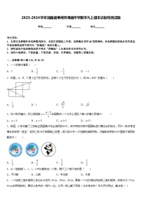 2023-2024学年湖南省郴州市湘南中学数学九上期末达标检测试题含答案