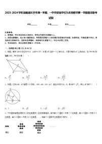 2023-2024学年湖南省长沙市湘一芙蓉、一中学双语学校九年级数学第一学期期末联考试题含答案