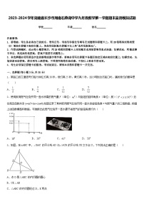 2023-2024学年湖南省长沙市周南石燕湖中学九年级数学第一学期期末监测模拟试题含答案