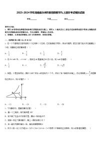 2023-2024学年湖南省永州市新田县数学九上期末考试模拟试题含答案