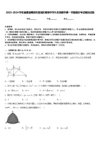 2023-2024学年福建省莆田市荔城区擢英中学九年级数学第一学期期末考试模拟试题含答案