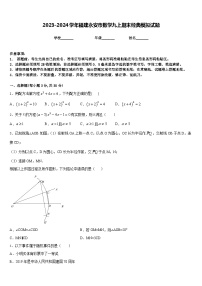 2023-2024学年福建永安市数学九上期末经典模拟试题含答案