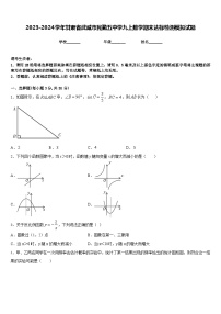 2023-2024学年甘肃省武威市民勤五中学九上数学期末达标检测模拟试题含答案