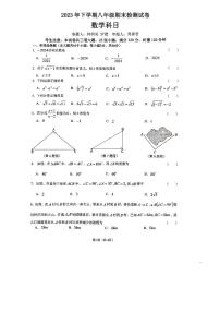 2023-2024雅礼集团八上期末检测数学试卷及参考答案